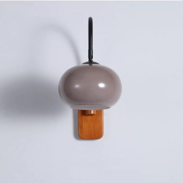 Wall Sconce Light