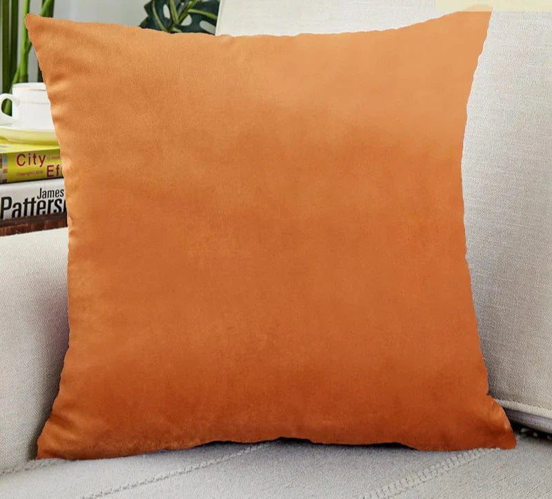Luxurious Velvet Pillow Cover