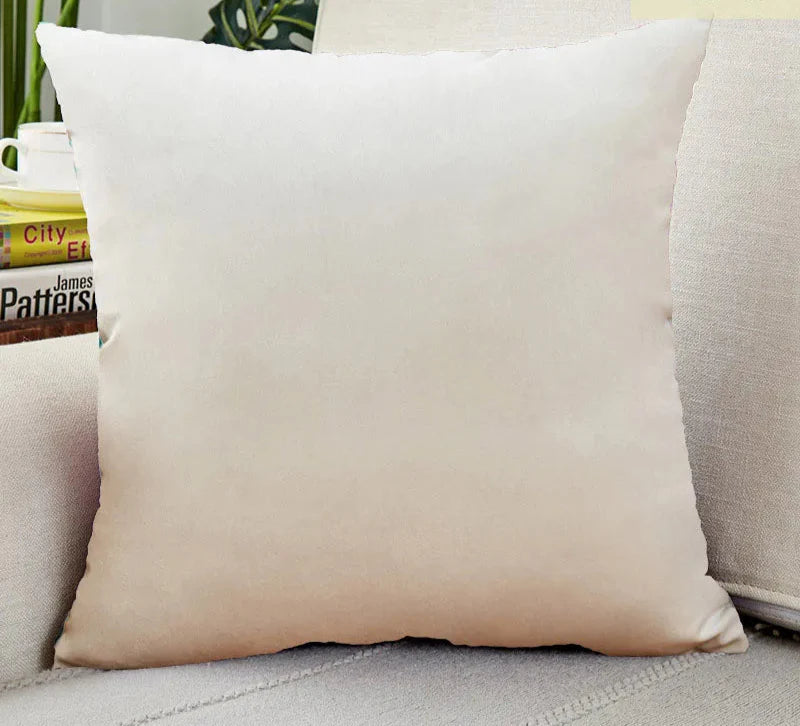 Luxurious Velvet Pillow Cover