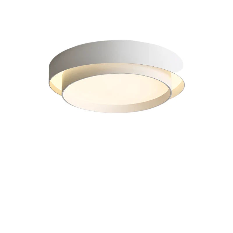 Minimalist Flush Mount Ceiling Light
