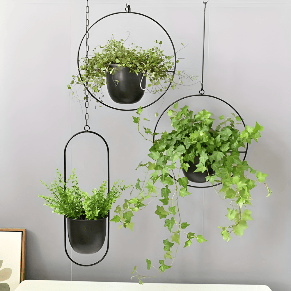 Minimalist Hanging Planter
