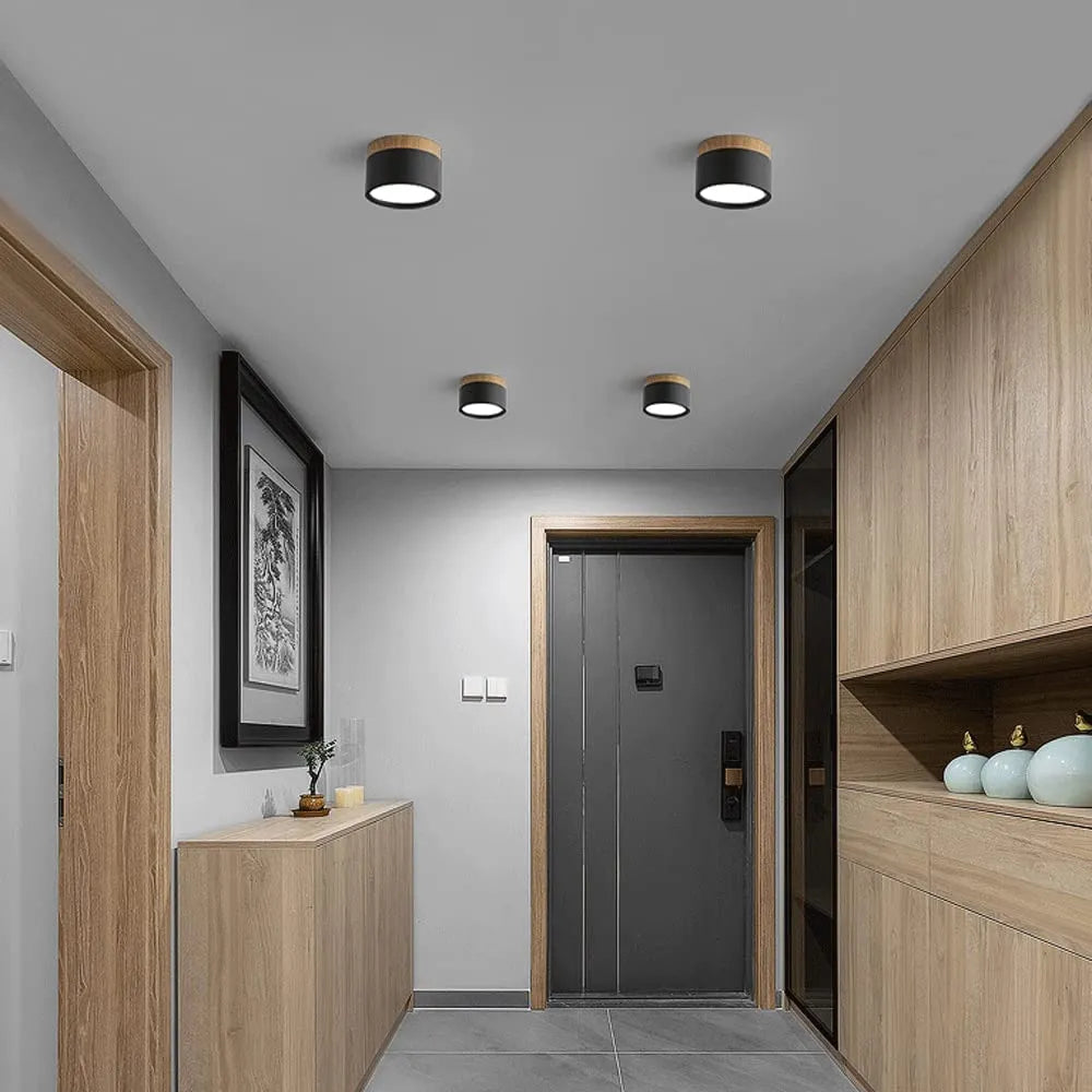Modern Flush Mount Ceiling Light