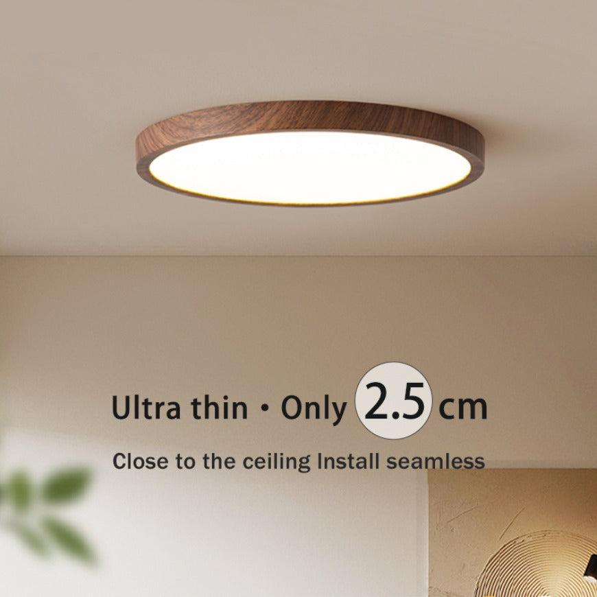 Modern Flush Mount Ceiling Light with Adjustable LED Effects for Home