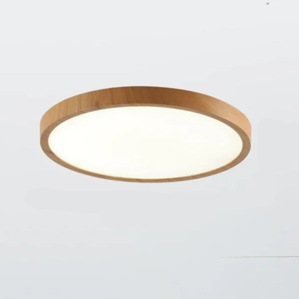 Modern Flush Mount Ceiling Light with Adjustable LED Effects for Home