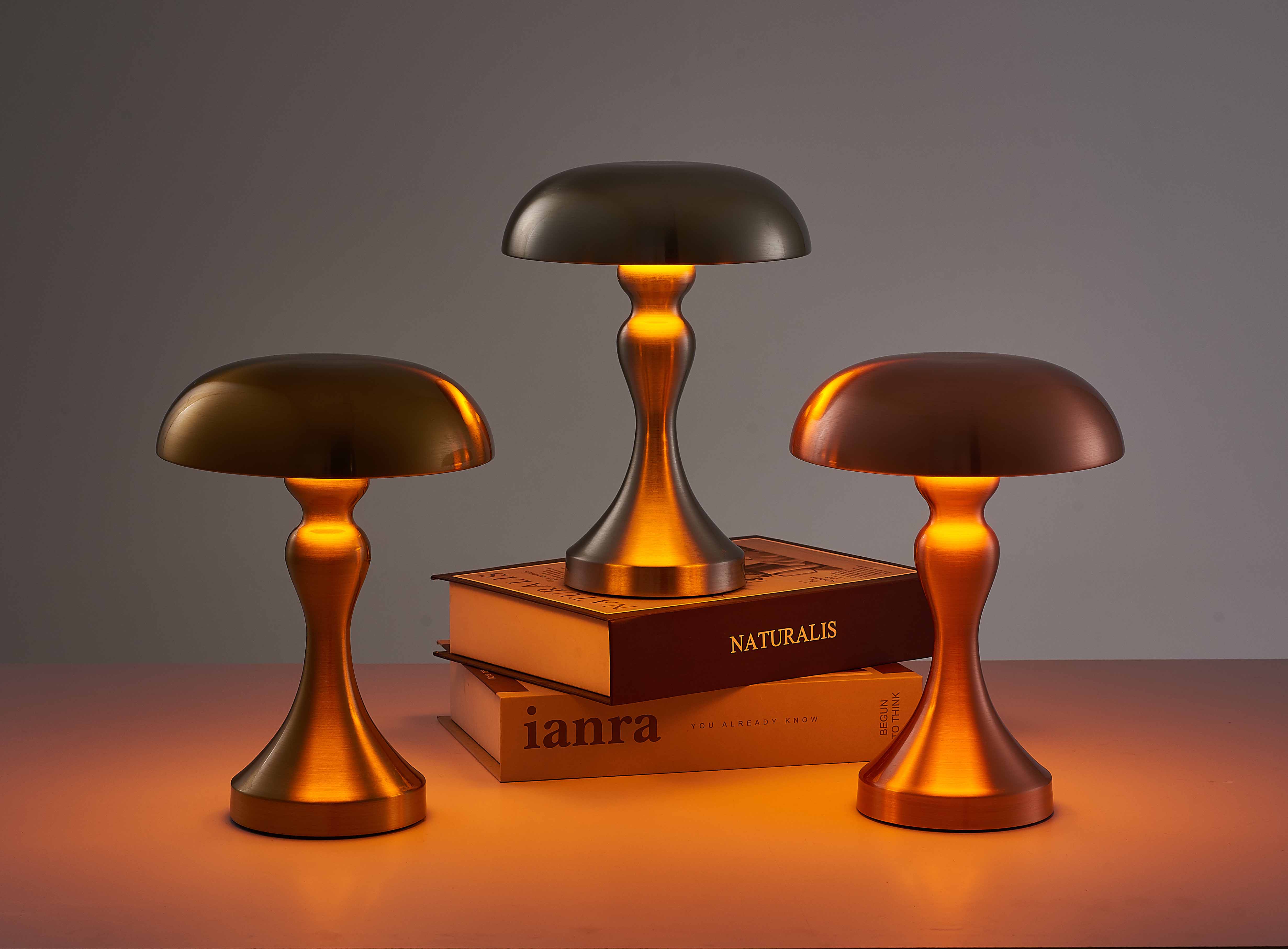 Mushroom Glow | Cordless Table Lamp for Bedroom & Desk Use 4