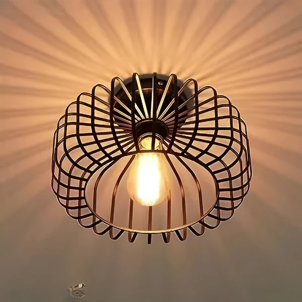 Stylish Indoor Ceiling Light