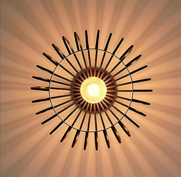 Stylish Indoor Ceiling Light
