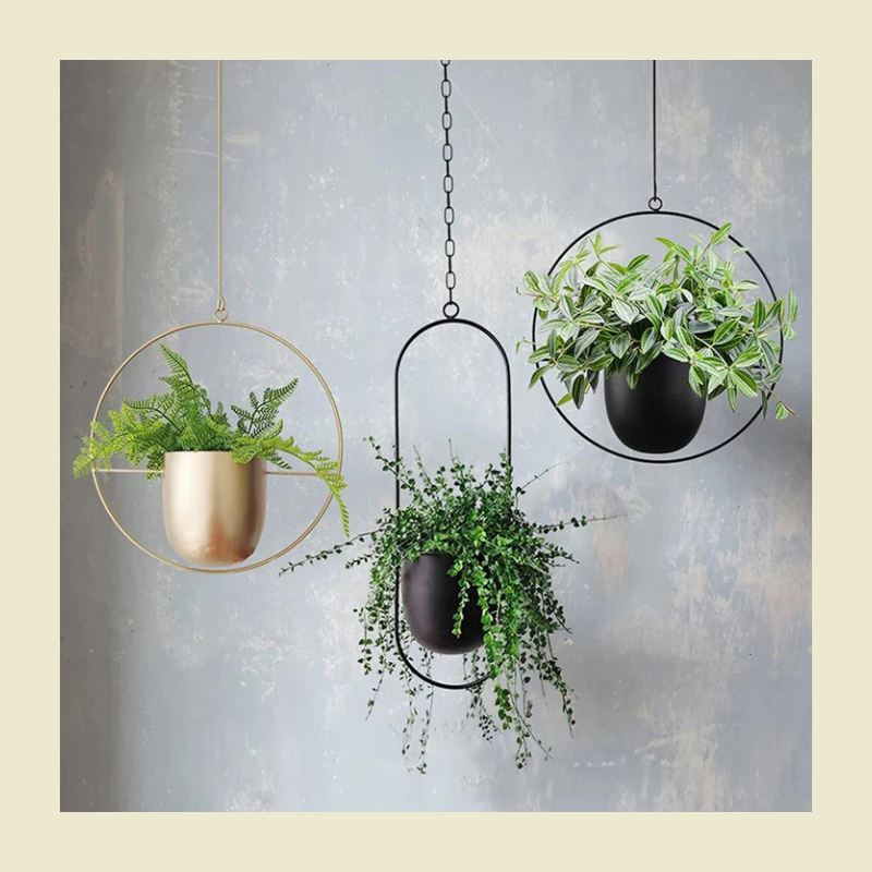 Verdantia | Modern Hanging Plant Wall Decor
