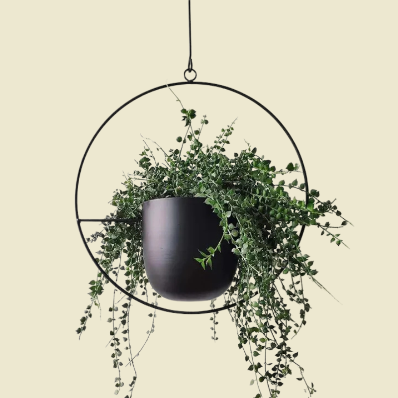 Verdantia | Modern Hanging Plant Wall Decor