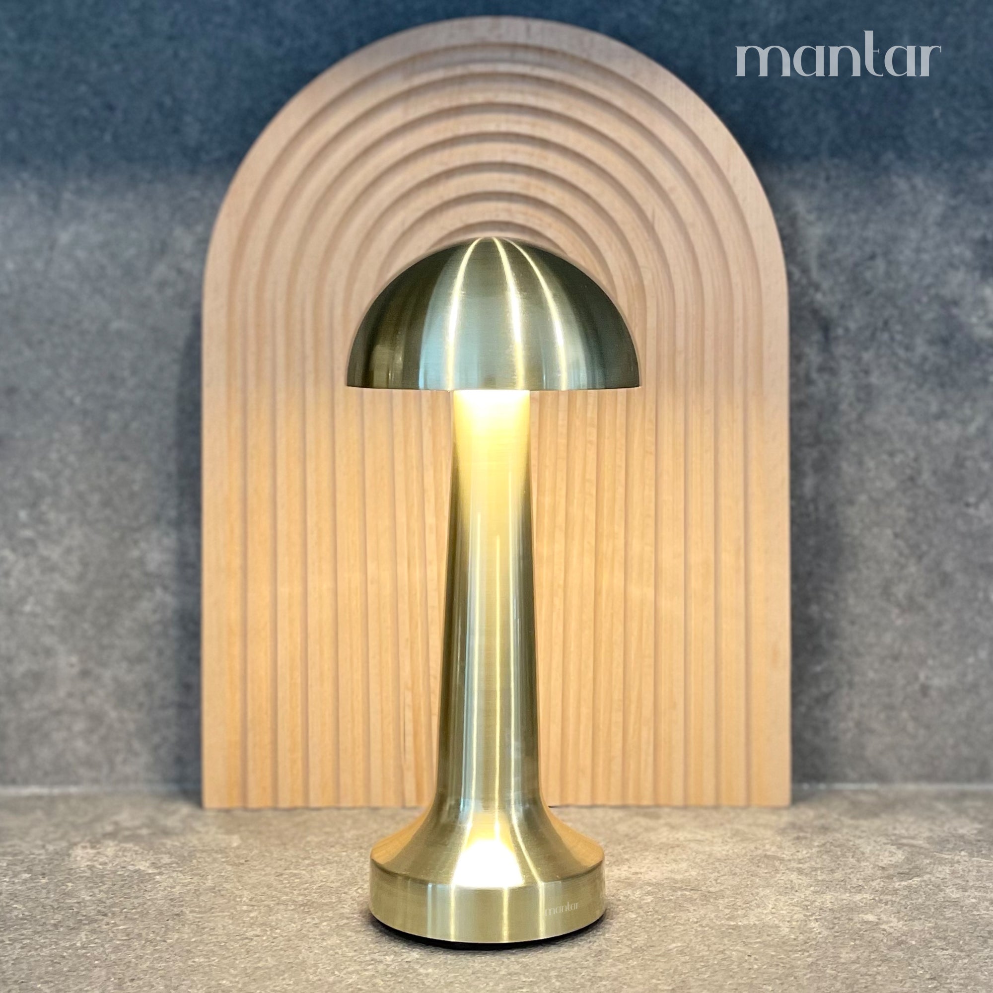 Cordless Rechargeable Table Lamp with Adjustable Brightness