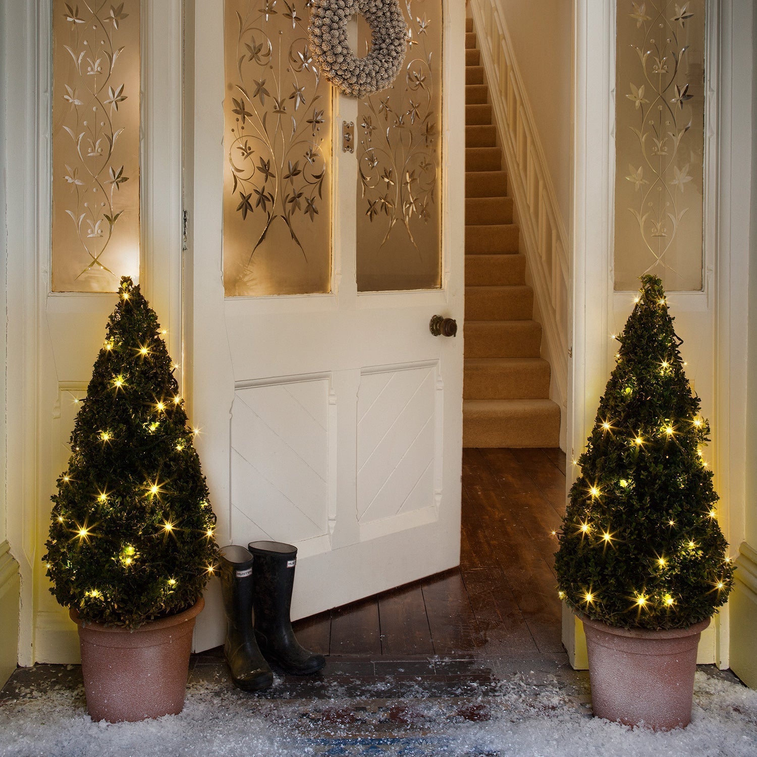 GlimmerAura | Outdoor Fairy Lights with 100 LEDs for Garden and Christmas Decor 1