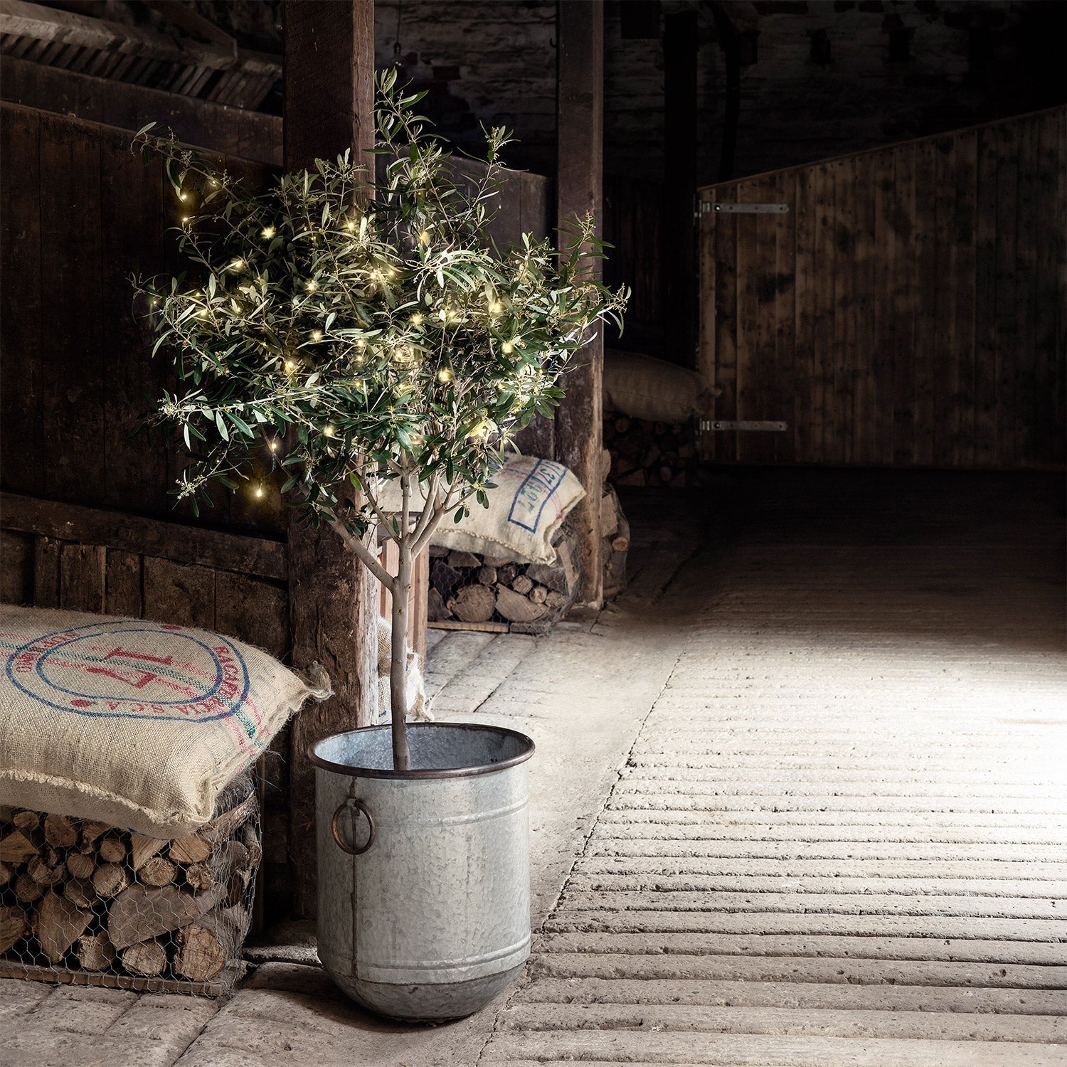 GlimmerNova | LED Outdoor Fairy Lights with Twinkle Modes 19.9m 3
