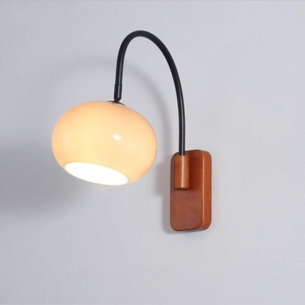 Wall Sconce Light