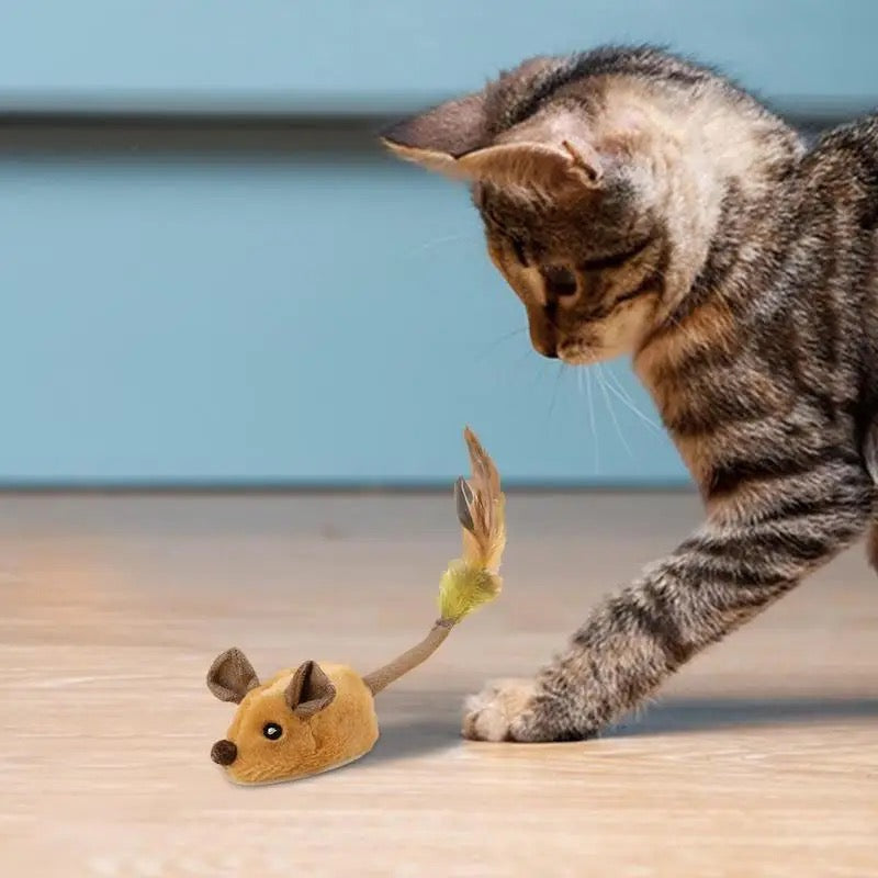 FastMouse Interactive Cat Toy