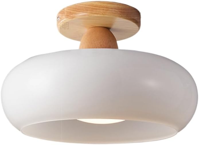 Flush Mount Modern LED Ceiling Light