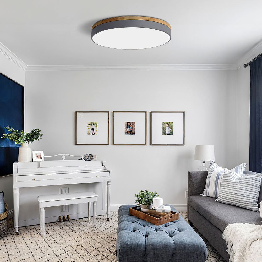 Lumosphere | Flush Mount Ceiling Light 1