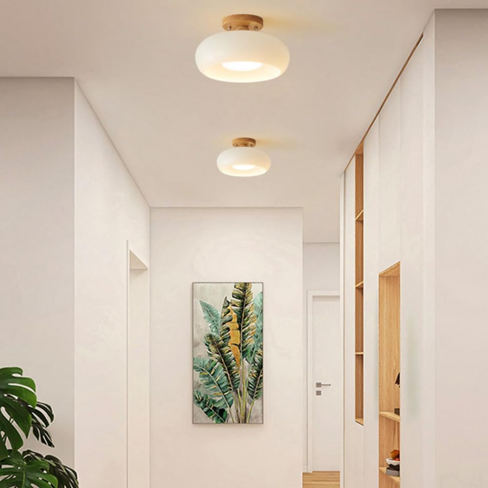 Flush Mount Modern LED Ceiling Light