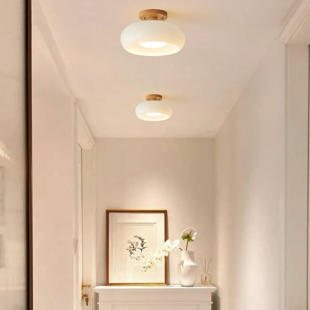 Flush Mount Modern LED Ceiling Light