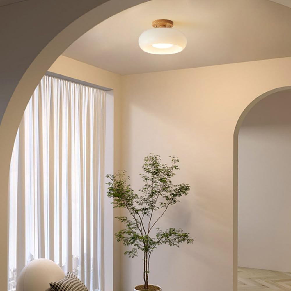 Flush Mount Modern LED Ceiling Light