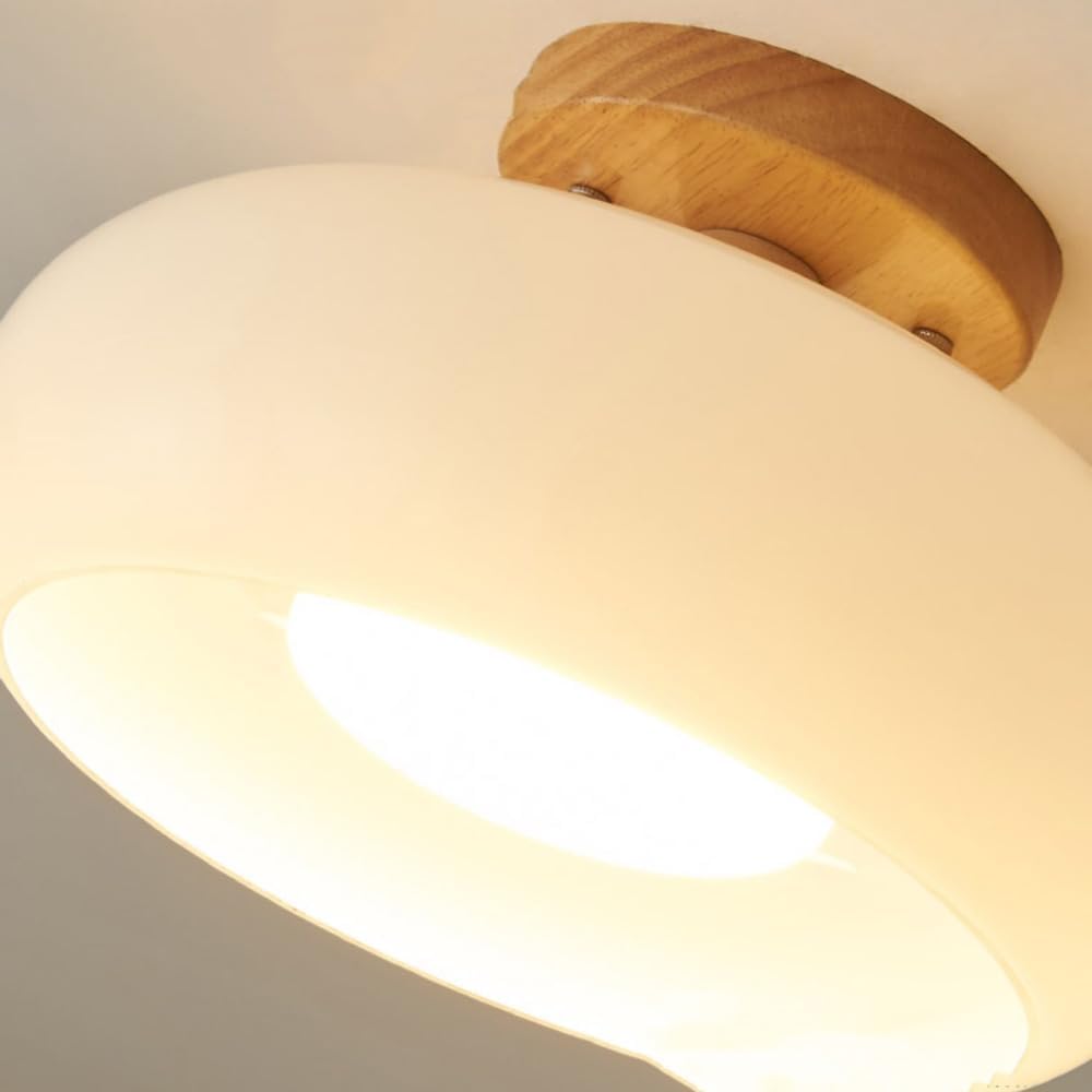 Flush Mount Modern LED Ceiling Light