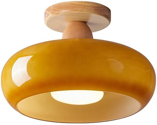 Flush Mount Modern LED Ceiling Light