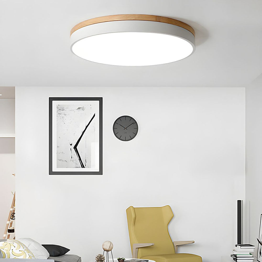 Lumosphere | Flush Mount Ceiling Light 6