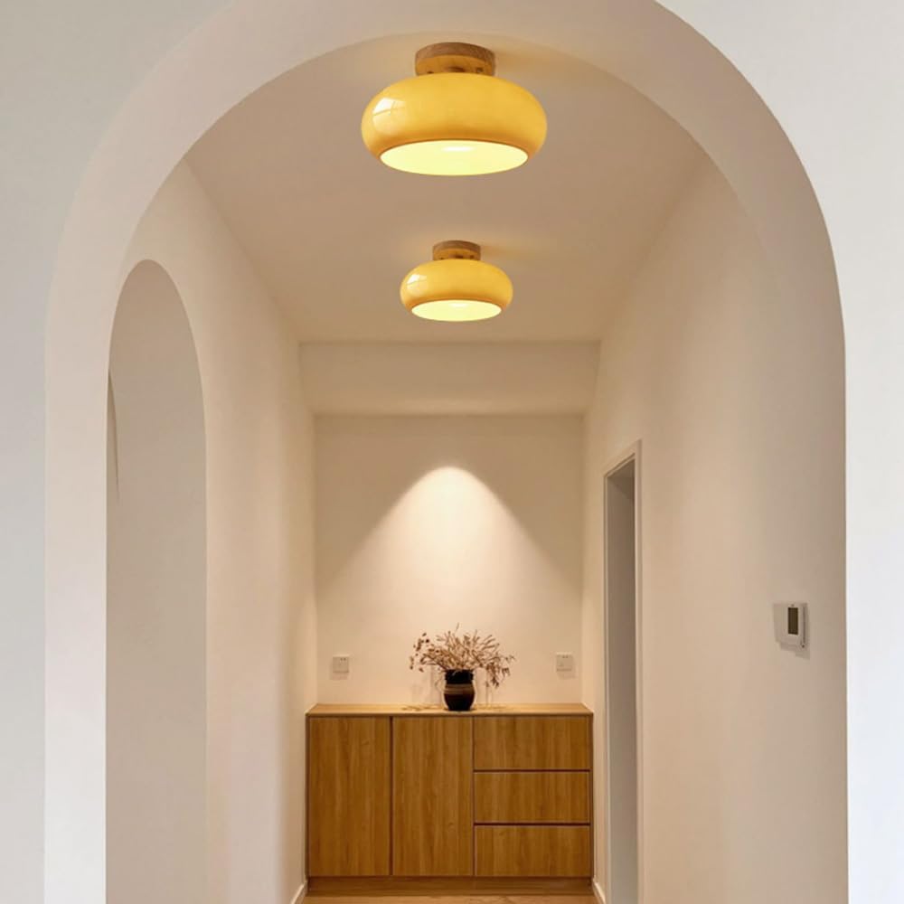 Flush Mount Modern LED Ceiling Light
