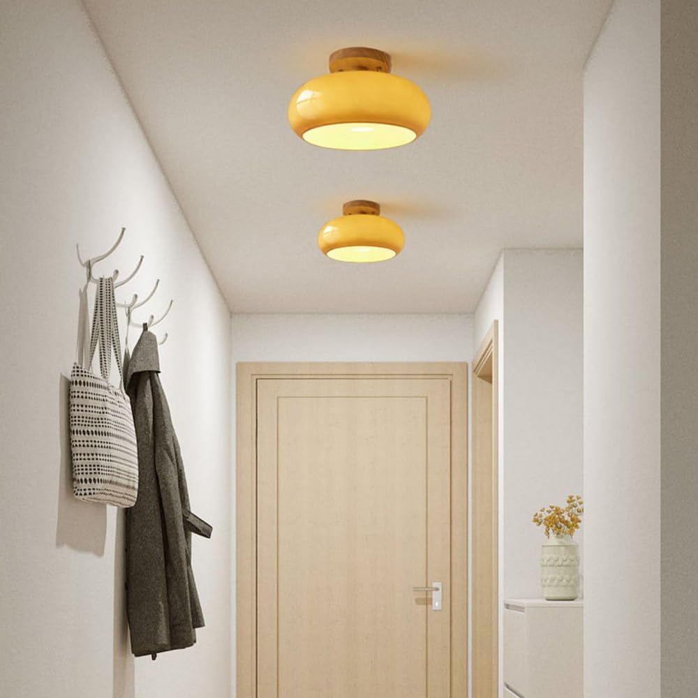 Flush Mount Modern LED Ceiling Light