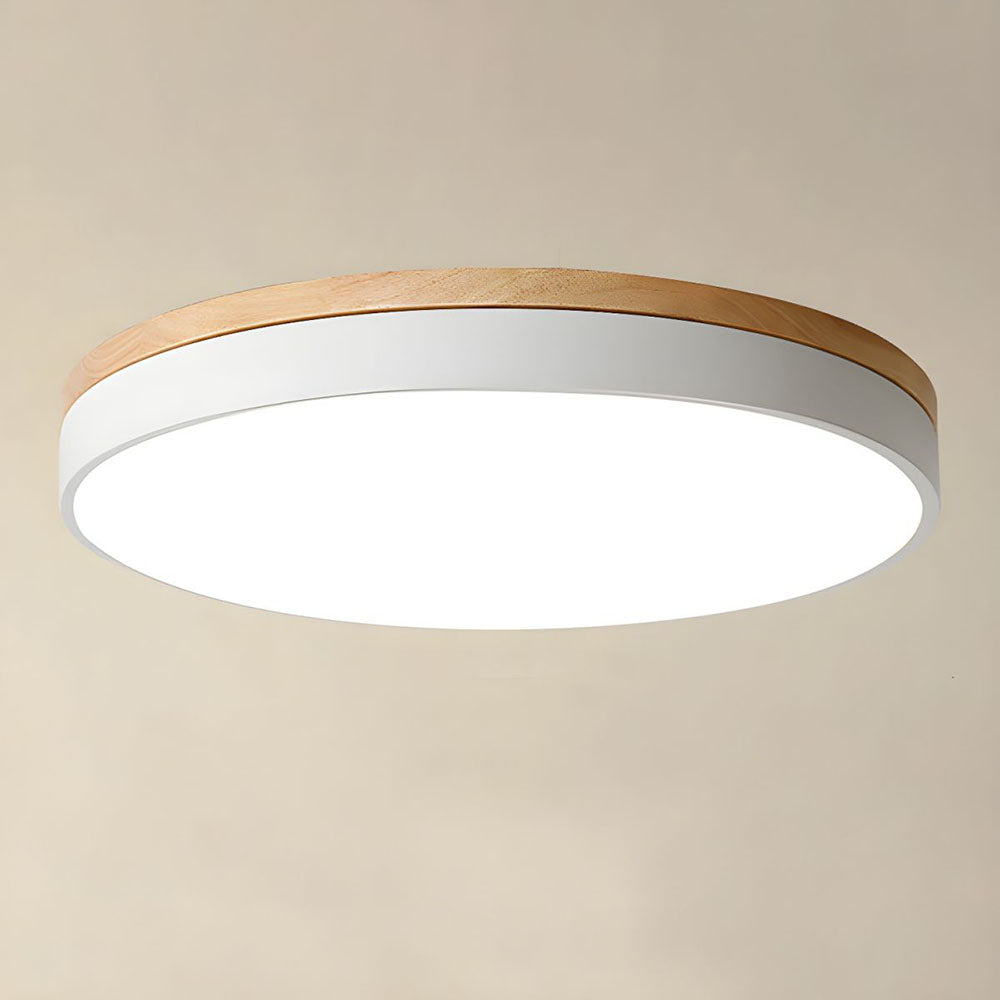 Lumosphere | Flush Mount Ceiling Light 8