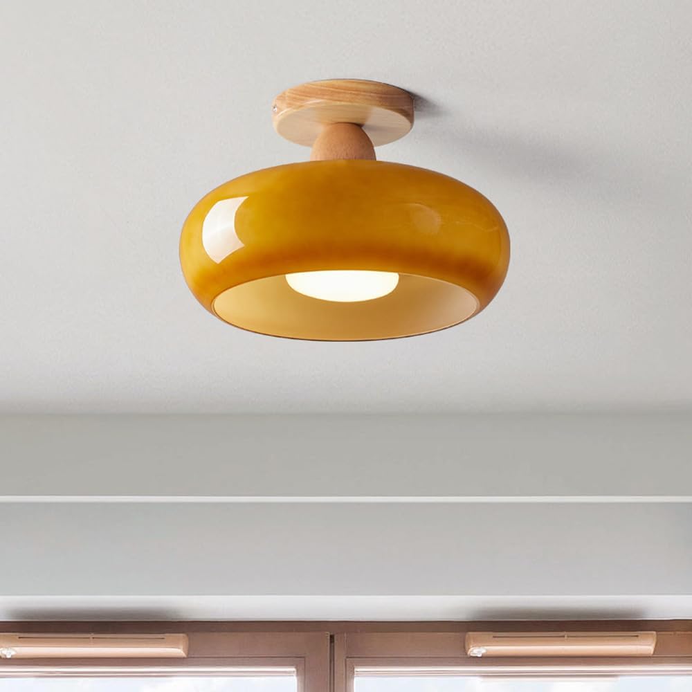 Flush Mount Modern LED Ceiling Light