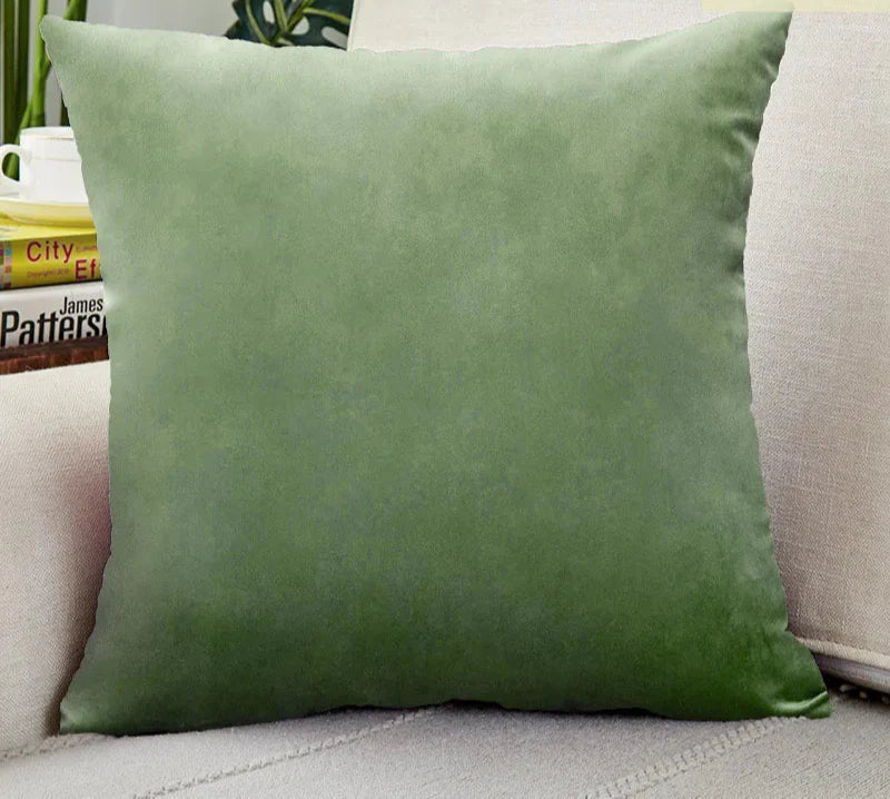 Luxurious Velvet Pillow Cover