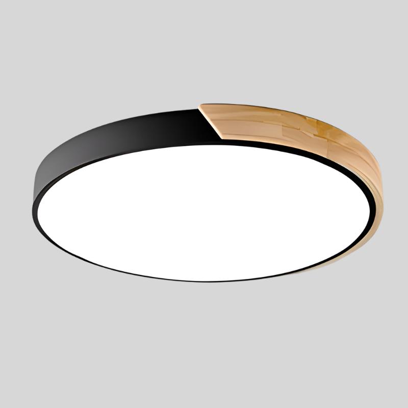 Minimalist Round Flush Mount Ceiling Light
