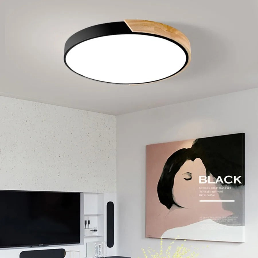 Minimalist Round Flush Mount Ceiling Light