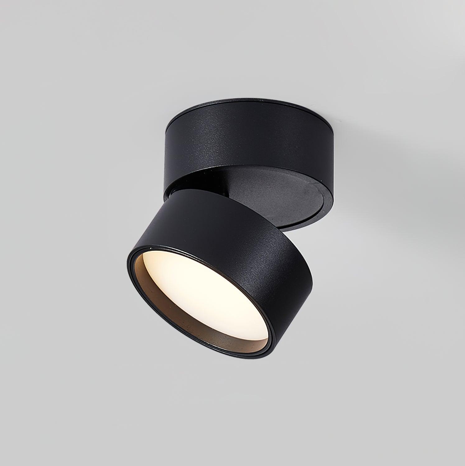 Modern Flush Mount Ceiling Light