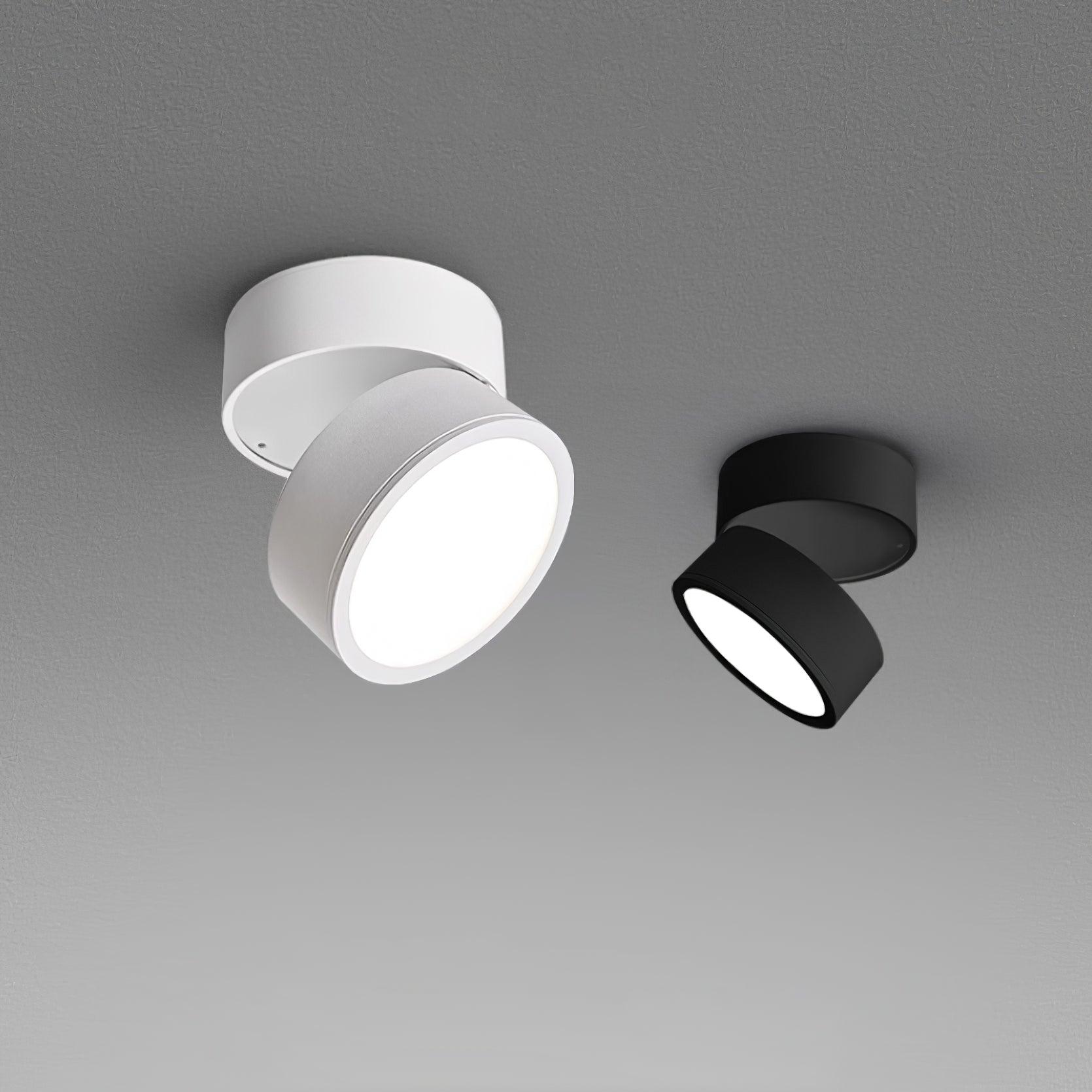 Modern Flush Mount Ceiling Light