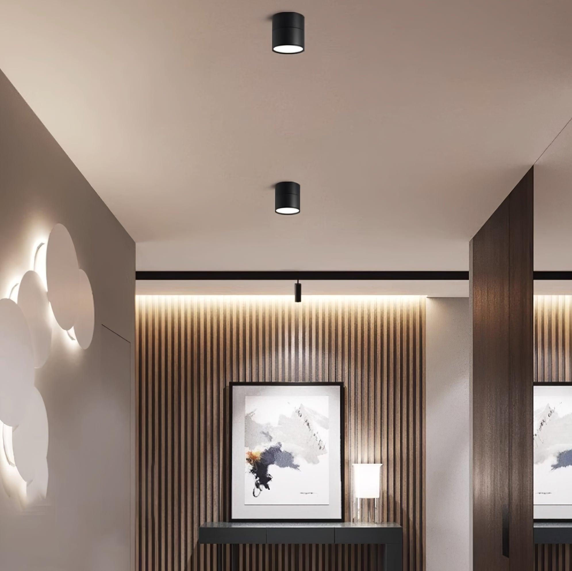 Modern Flush Mount Ceiling Light