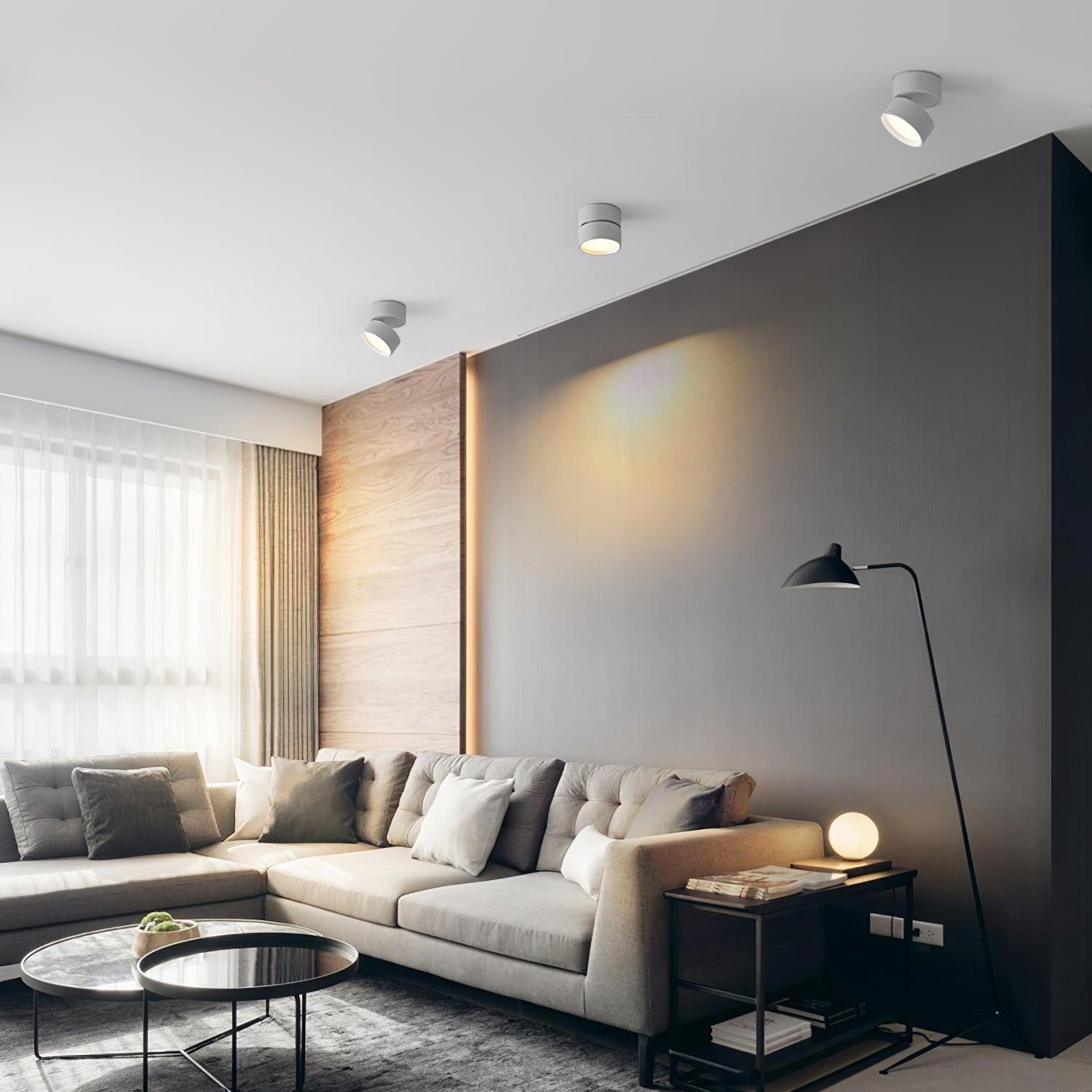 Modern Flush Mount Ceiling Light