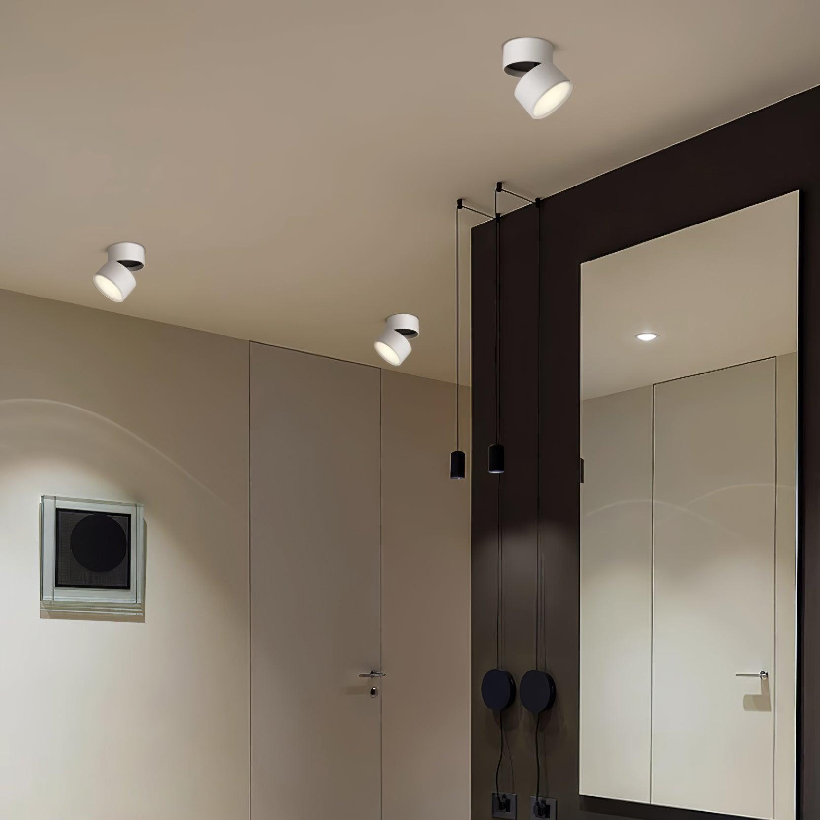 Modern Flush Mount Ceiling Light