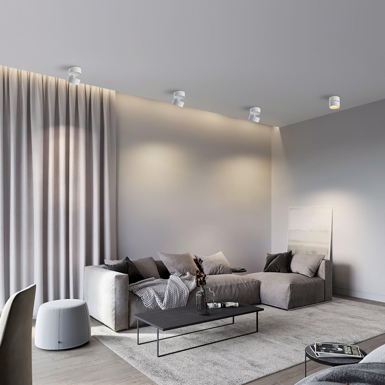 Modern Flush Mount Ceiling Light