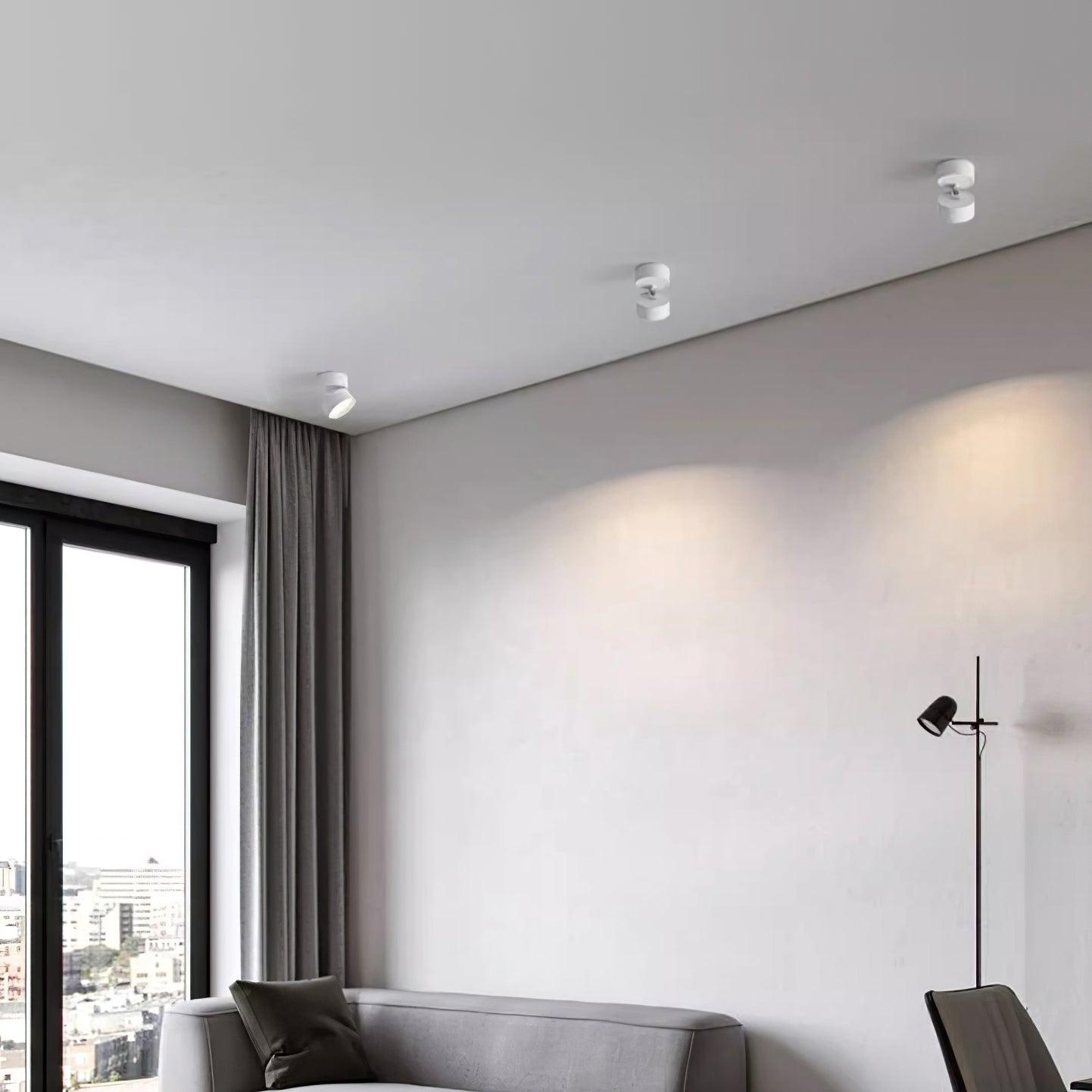 Modern Flush Mount Ceiling Light