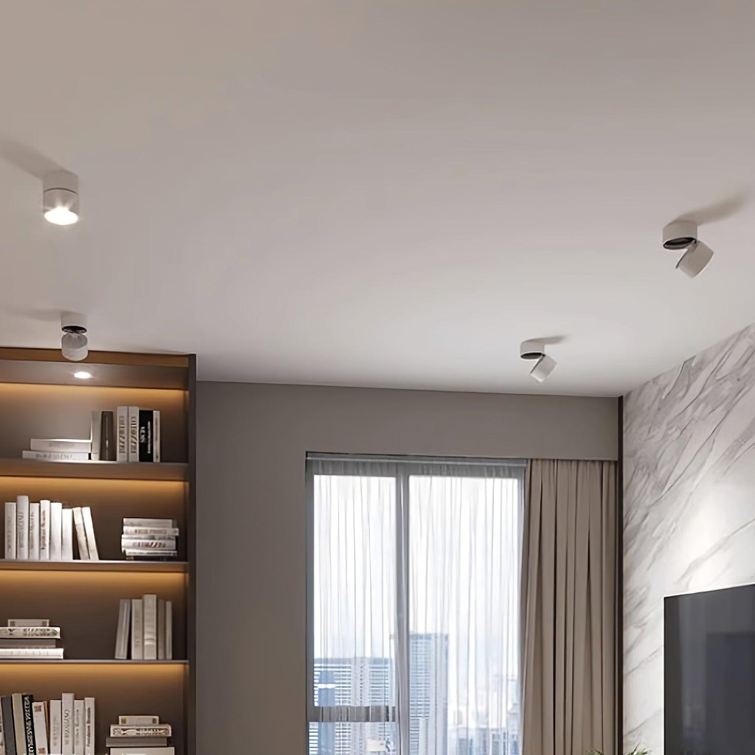 Modern Flush Mount Ceiling Light