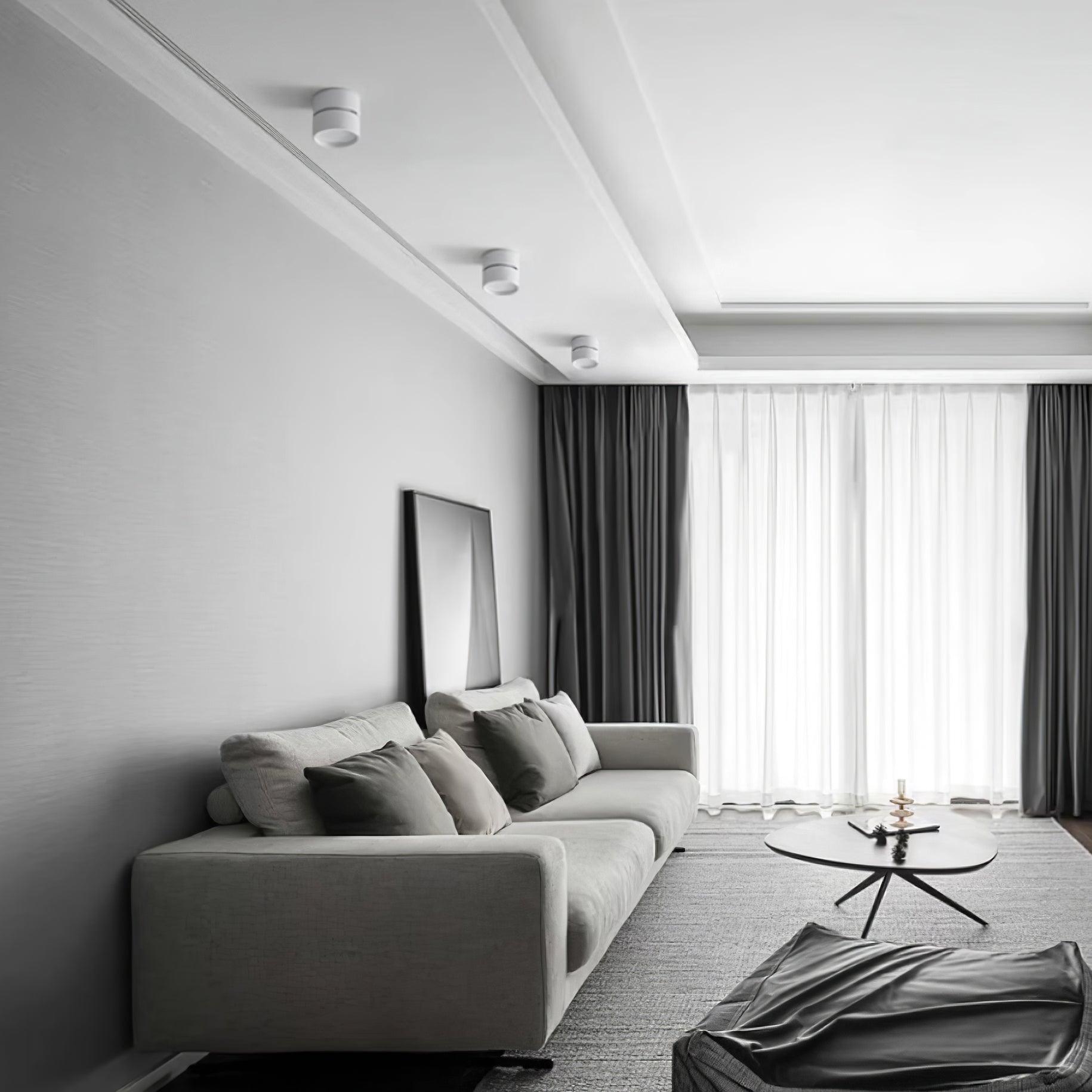 Modern Flush Mount Ceiling Light