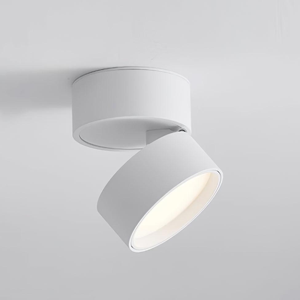 Modern Flush Mount Ceiling Light