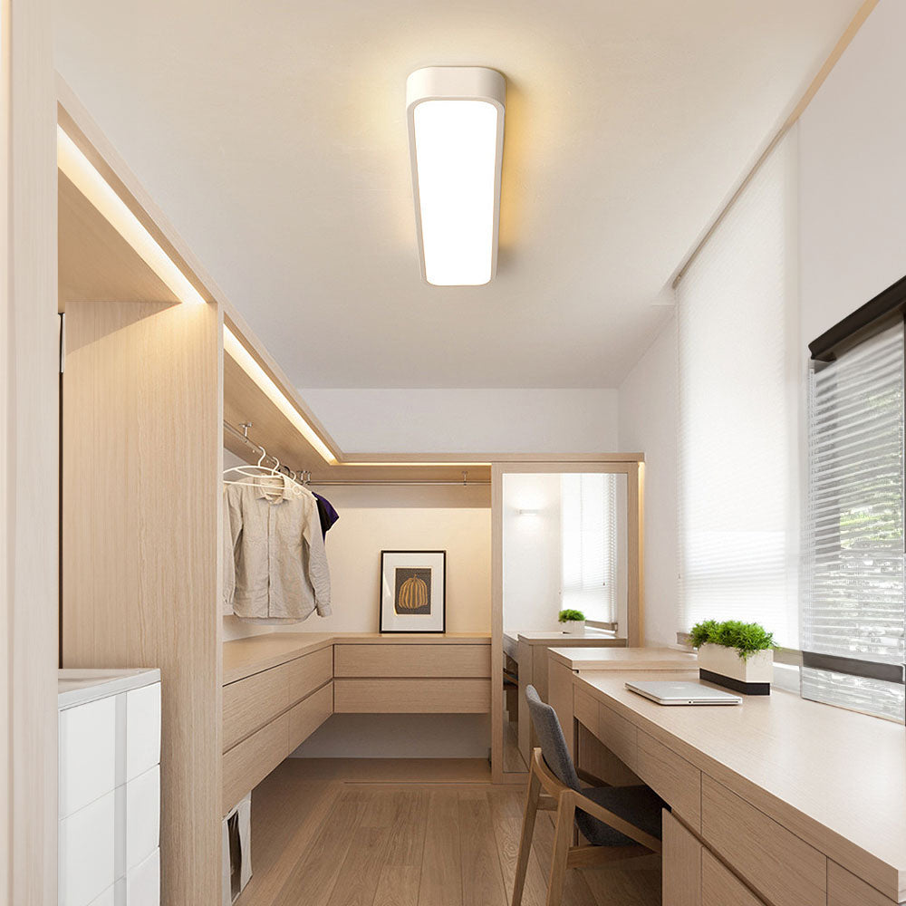 Modern Flush Mount Ceiling Light