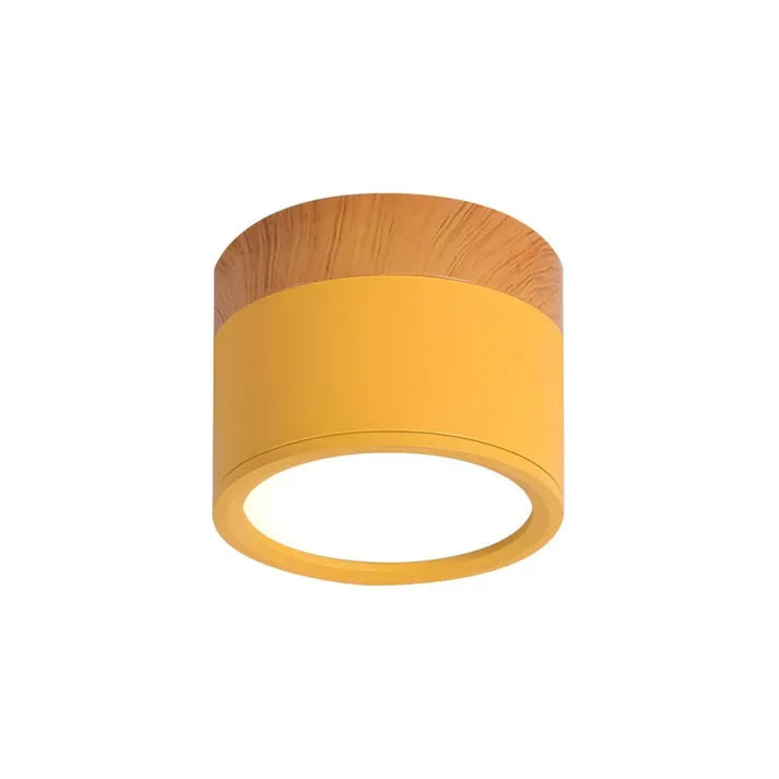 Modern Flush Mount Ceiling Light