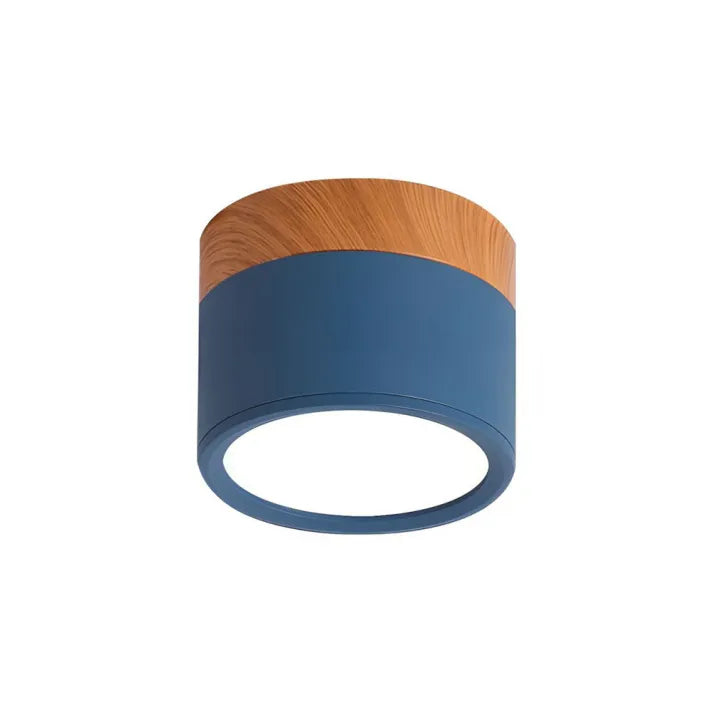Modern Flush Mount Ceiling Light