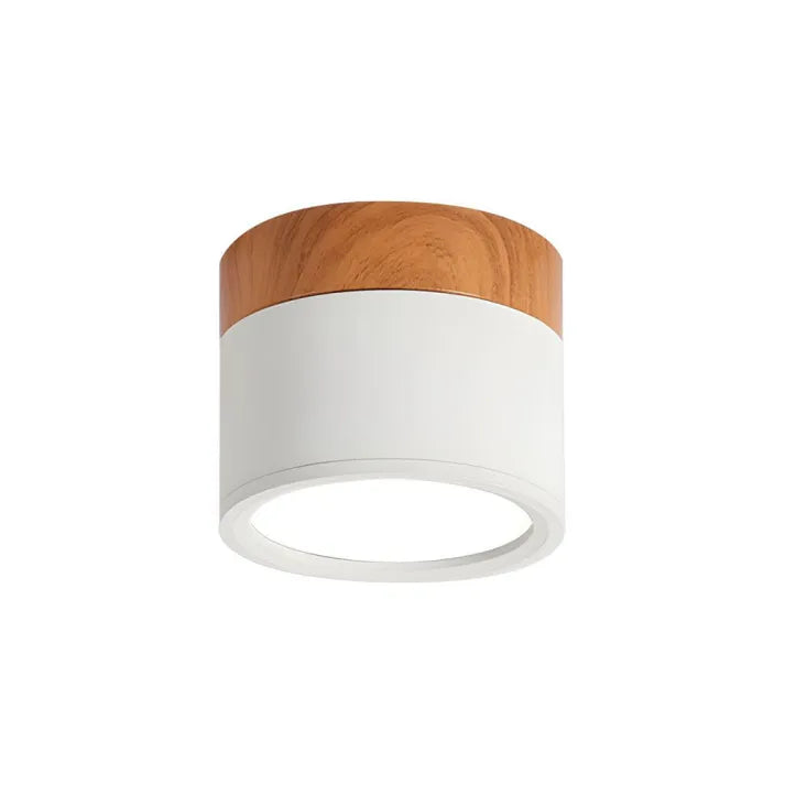 Modern Flush Mount Ceiling Light