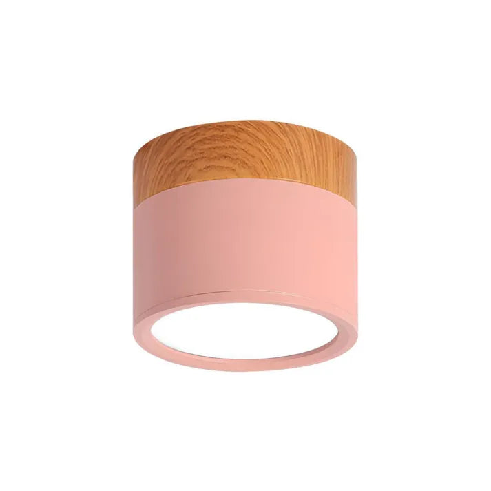 Modern Flush Mount Ceiling Light