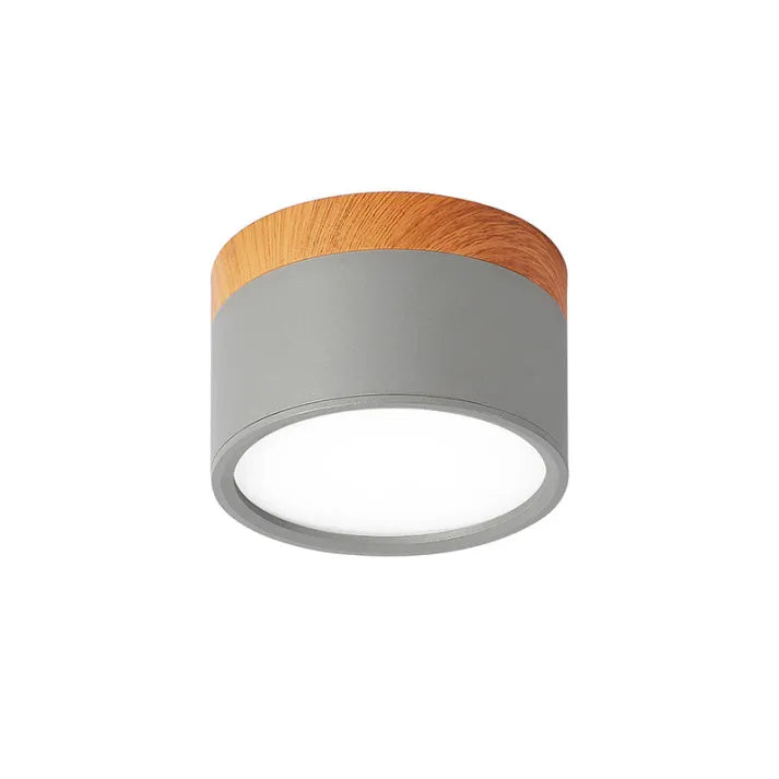 Modern Flush Mount Ceiling Light