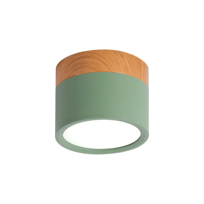 Modern Flush Mount Ceiling Light